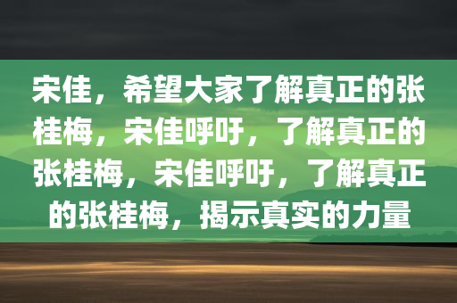 宋佳，希望大家了解真正的张桂梅，宋佳呼吁，了解真正的张桂梅，宋佳呼吁，了解真正的张桂梅，揭示真实的力量