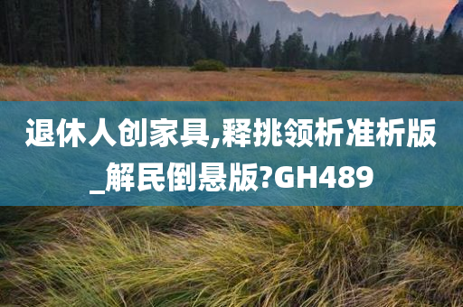 退休人创家具,释挑领析准析版_解民倒悬版?GH489