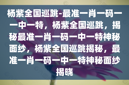 杨紫全国巡跳-最准一肖一码一一中一特，杨紫全国巡跳，揭秘最准一肖一码一中一特神秘面纱，杨紫全国巡跳揭秘，最准一肖一码一中一特神秘面纱揭晓