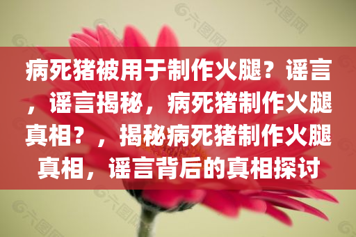 病死猪被用于制作火腿？谣言，谣言揭秘，病死猪制作火腿真相？，揭秘病死猪制作火腿真相，谣言背后的真相探讨