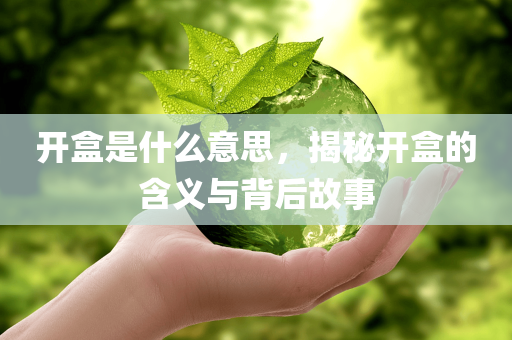 开盒是什么意思，揭秘开盒的含义与背后故事