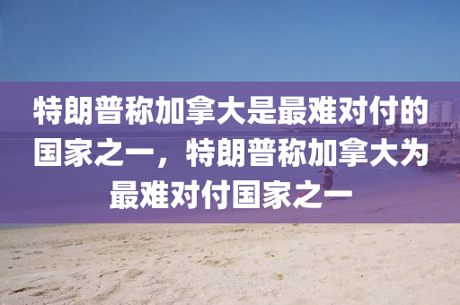 特朗普称加拿大是最难对付的国家之一，特朗普称加拿大为最难对付国家之一