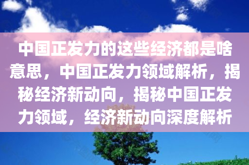 中国正发力的这些经济都是啥意思，中国正发力领域解析，揭秘经济新动向，揭秘中国正发力领域，经济新动向深度解析