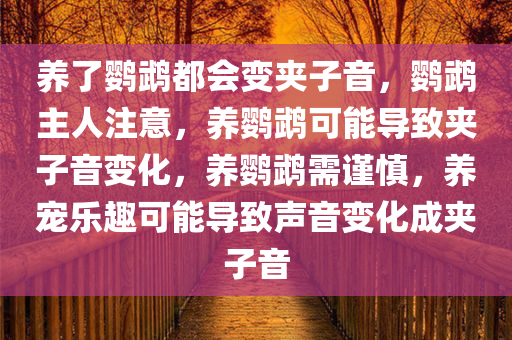 养了鹦鹉都会变夹子音，鹦鹉主人注意，养鹦鹉可能导致夹子音变化，养鹦鹉需谨慎，养宠乐趣可能导致声音变化成夹子音