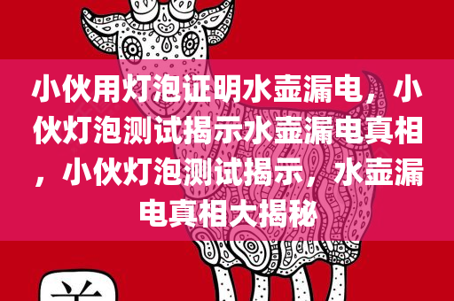 小伙用灯泡证明水壶漏电，小伙灯泡测试揭示水壶漏电真相，小伙灯泡测试揭示，水壶漏电真相大揭秘