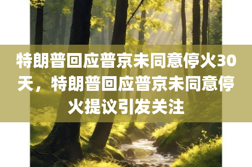 特朗普回应普京未同意停火30天，特朗普回应普京未同意停火提议引发关注，特朗普回应普京停火提议，未获同意，引发关注热议