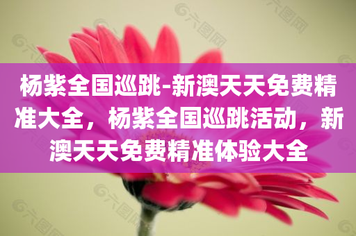 杨紫全国巡跳-新澳天天免费精准大全，杨紫全国巡跳活动，新澳天天免费精准体验大全