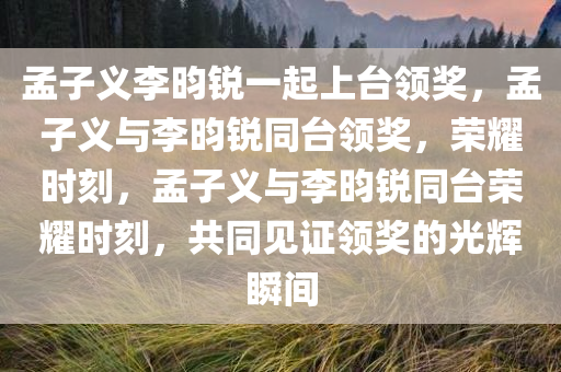 孟子义李昀锐一起上台领奖，孟子义与李昀锐同台领奖，荣耀时刻，孟子义与李昀锐同台荣耀时刻，共同见证领奖的光辉瞬间