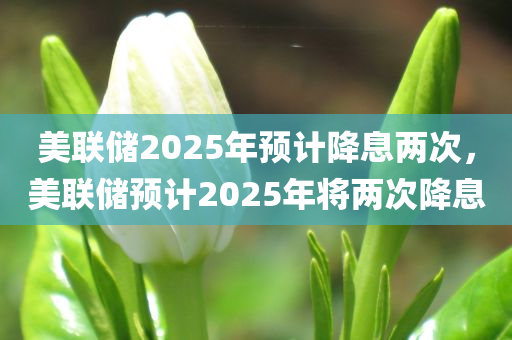 美联储2025年预计降息两次，美联储预计2025年将两次降息，美联储预计2025年将两次降息，降息计划展望揭秘