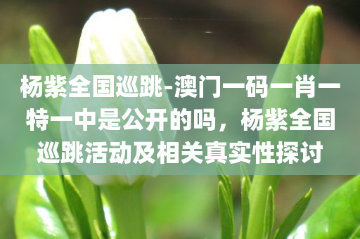 杨紫全国巡跳-澳门一码一肖一特一中是公开的吗，杨紫全国巡跳活动及相关真实性探讨，杨紫全国巡跳活动真相揭秘，澳门一码一肖一特一中的真实性及公开性探讨