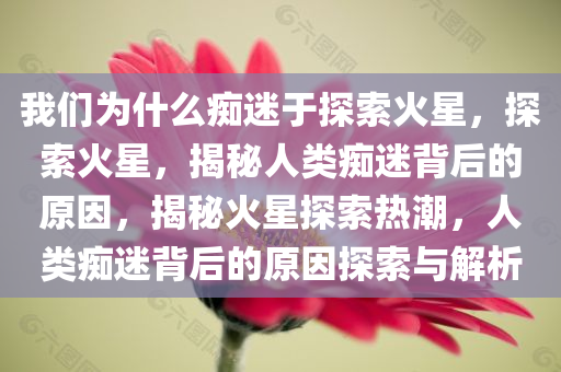 我们为什么痴迷于探索火星，探索火星，揭秘人类痴迷背后的原因，揭秘火星探索热潮，人类痴迷背后的原因探索与解析