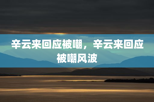 辛云来回应被嘲，辛云来回应被嘲风波