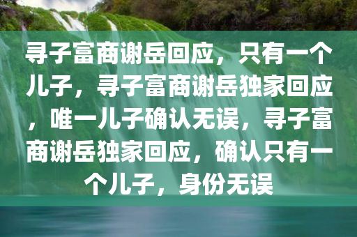 寻子富商谢岳回应，只有一个儿子，寻子富商谢岳独家回应，唯一儿子确认无误，寻子富商谢岳独家回应，确认只有一个儿子，身份无误