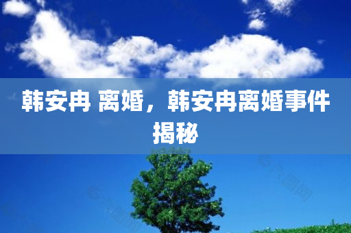 韩安冉 离婚，韩安冉离婚事件揭秘，韩安冉离婚事件揭秘，婚姻背后的真相