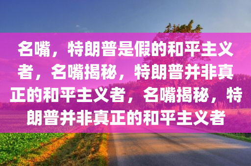 名嘴，特朗普是假的和平主义者，名嘴揭秘，特朗普并非真正的和平主义者，名嘴揭秘，特朗普并非真正的和平主义者