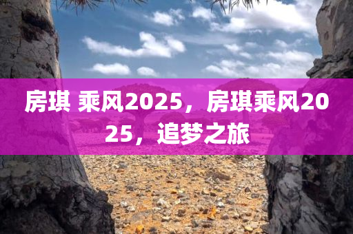 房琪 乘风2025，房琪乘风2025，追梦之旅