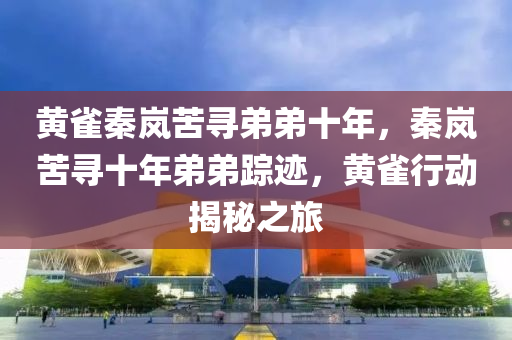 黄雀秦岚苦寻弟弟十年，秦岚苦寻十年弟弟踪迹，黄雀行动揭秘之旅，秦岚十年黄雀行动，揭秘弟弟踪迹的苦寻之旅
