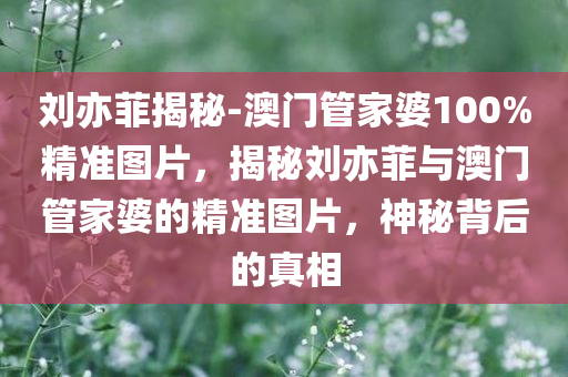 刘亦菲揭秘-澳门管家婆100%精准图片，揭秘刘亦菲与澳门管家婆的精准图片，神秘背后的真相