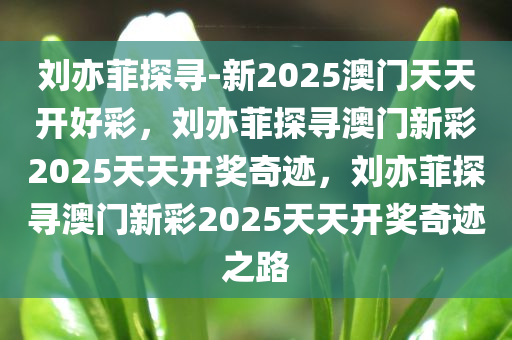 刘亦菲探寻-新2025澳门天天开好彩，刘亦菲探寻澳门新彩2025天天开奖奇迹，刘亦菲探寻澳门新彩2025天天开奖奇迹之路