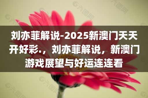 刘亦菲解说-2025新澳门天天开好彩.，刘亦菲解说，新澳门游戏展望与好运连连看，刘亦菲解读新澳门游戏，展望好运连连，2025天天开好彩的奥秘