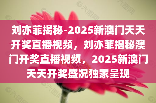 刘亦菲揭秘-2025新澳门天天开奖直播视频，刘亦菲揭秘澳门开奖直播视频，2025新澳门天天开奖盛况独家呈现，独家揭秘，刘亦菲眼中的澳门开奖盛况与直播视频回顾 2025新澳门天天开奖盛况独家呈现