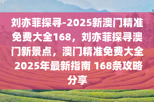 刘亦菲探寻-2025新澳门精准免费大全168，刘亦菲探寻澳门新景点，澳门精准免费大全 2025年最新指南 168条攻略分享