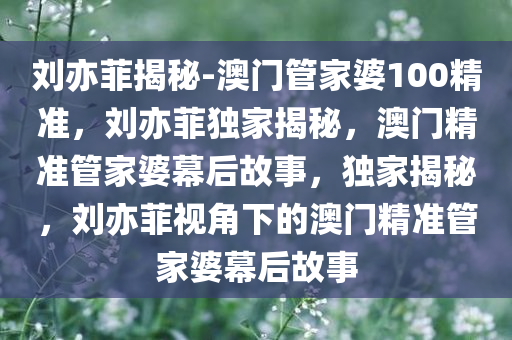 刘亦菲揭秘-澳门管家婆100精准，刘亦菲独家揭秘，澳门精准管家婆幕后故事，独家揭秘，刘亦菲视角下的澳门精准管家婆幕后故事
