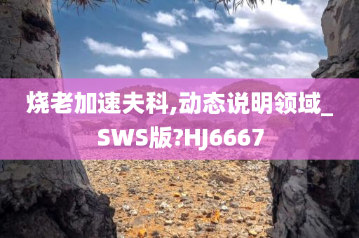 烧老加速夫科,动态说明领域_SWS版?HJ6667