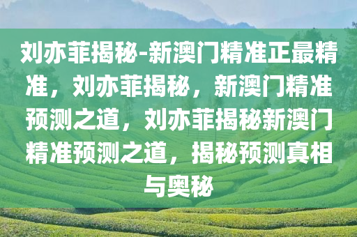 刘亦菲揭秘-新澳门精准正最精准，刘亦菲揭秘，新澳门精准预测之道，刘亦菲揭秘新澳门精准预测之道，揭秘预测真相与奥秘