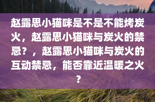赵露思小猫咪是不是不能烤炭火，赵露思小猫咪与炭火的禁忌？，赵露思小猫咪与炭火的互动禁忌，能否靠近温暖之火？