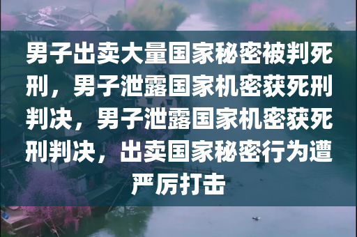 男子出卖大量国家秘密被判死刑，男子泄露国家机密获死刑判决，男子泄露国家机密获死刑判决，出卖国家秘密行为遭严厉打击
