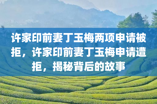 许家印前妻丁玉梅两项申请被拒，许家印前妻丁玉梅申请遭拒，揭秘背后的故事