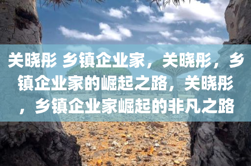 关晓彤 乡镇企业家，关晓彤，乡镇企业家的崛起之路，关晓彤，乡镇企业家崛起的非凡之路