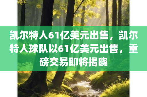 凯尔特人61亿美元出售，凯尔特人球队以61亿美元出售，重磅交易即将揭晓