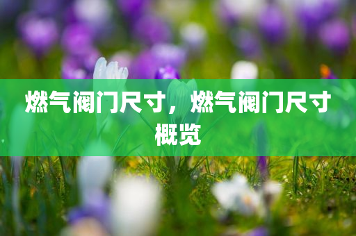 燃气阀门尺寸，燃气阀门尺寸概览