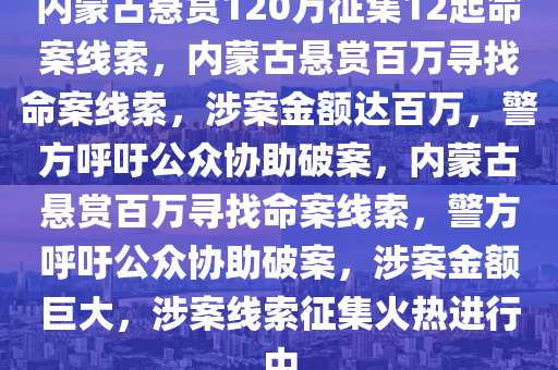 内蒙古悬赏120万征集12起命案线索，内蒙古悬赏百万寻找命案线索，涉案金额达百万，警方呼吁公众协助破案，内蒙古悬赏百万寻找命案线索，警方呼吁公众协助破案，涉案金额巨大，涉案线索征集火热进行中