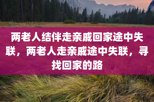 两老人结伴走亲戚回家途中失联，两老人走亲戚途中失联，寻找回家的路，两老人走亲戚途中失联，寻找回家的路历程曝光
