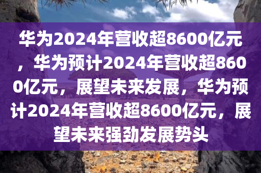 华为2024年营收超8600亿元，华为预计2024年营收超8600亿元，展望未来发展，华为预计2024年营收超8600亿元，展望未来强劲发展势头
