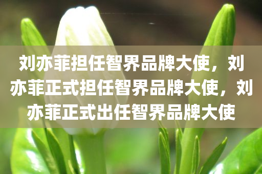 刘亦菲担任智界品牌大使，刘亦菲正式担任智界品牌大使，刘亦菲正式出任智界品牌大使