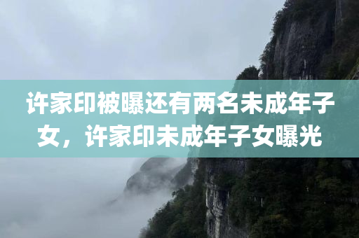 许家印被曝还有两名未成年子女，许家印未成年子女曝光，许家印未成年子女曝光，传闻中的两名子女浮出水面