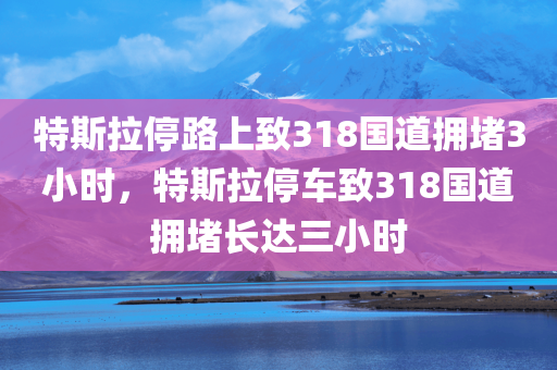 特斯拉停路上致318国道拥堵3小时，特斯拉停车致318国道拥堵长达三小时，特斯拉停车事件引发318国道长达三小时拥堵事件