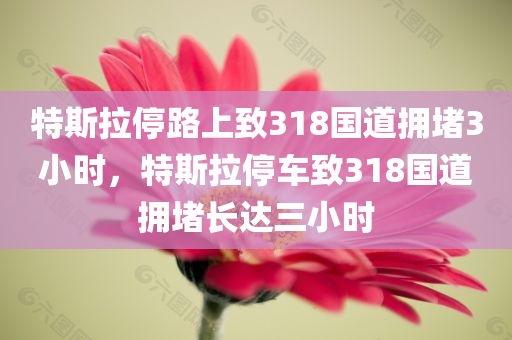 特斯拉停路上致318国道拥堵3小时，特斯拉停车致318国道拥堵长达三小时，特斯拉停车事件引发318国道长达三小时拥堵事件