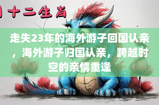 走失23年的海外游子回国认亲，海外游子归国认亲，跨越时空的亲情重逢，海外游子归国认亲，跨越时空的亲情重逢之旅