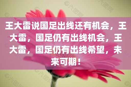 王大雷说国足出线还有机会，王大雷，国足仍有出线机会，王大雷，国足仍有出线希望，未来可期！