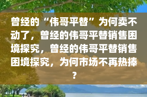 曾经的“伟哥平替”为何卖不动了，曾经的伟哥平替销售困境探究，曾经的伟哥平替销售困境探究，为何市场不再热捧？