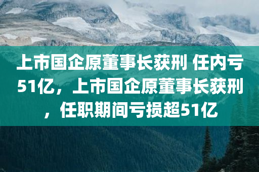上市国企原董事长获刑 任内亏51亿，上市国企原董事长获刑，任职期间亏损超51亿，上市国企原董事长获刑，任职期间巨额亏损达51亿，揭示管理漏洞与责任追究之路