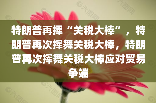 特朗普再挥“关税大棒”，特朗普再次挥舞关税大棒，特朗普再次挥舞关税大棒应对贸易争端