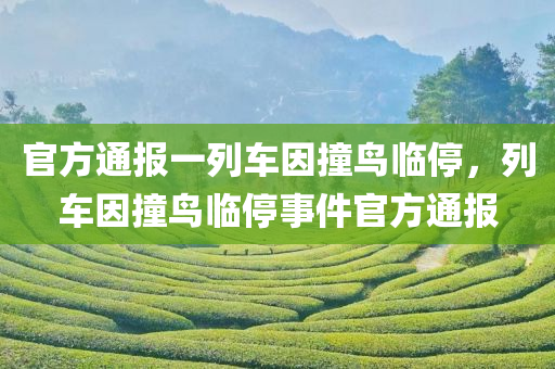 官方通报一列车因撞鸟临停，列车因撞鸟临停事件官方通报