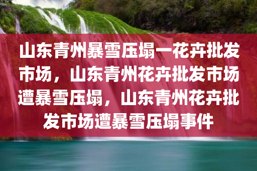 山东青州暴雪压塌一花卉批发市场，山东青州花卉批发市场遭暴雪压塌，山东青州花卉批发市场遭暴雪压塌事件