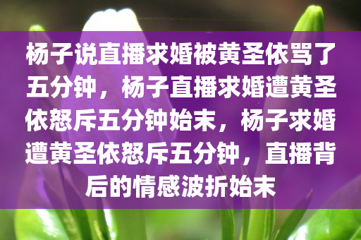杨子说直播求婚被黄圣依骂了五分钟，杨子直播求婚遭黄圣依怒斥五分钟始末，杨子求婚遭黄圣依怒斥五分钟，直播背后的情感波折始末